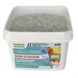Coquilles d'huîtres...